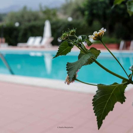 Il Casale Il Sole E La Margherita Campofelice Di Roccella Extérieur photo