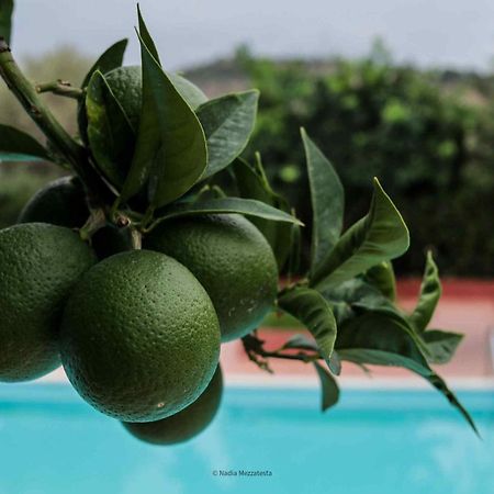 Il Casale Il Sole E La Margherita Campofelice Di Roccella Extérieur photo
