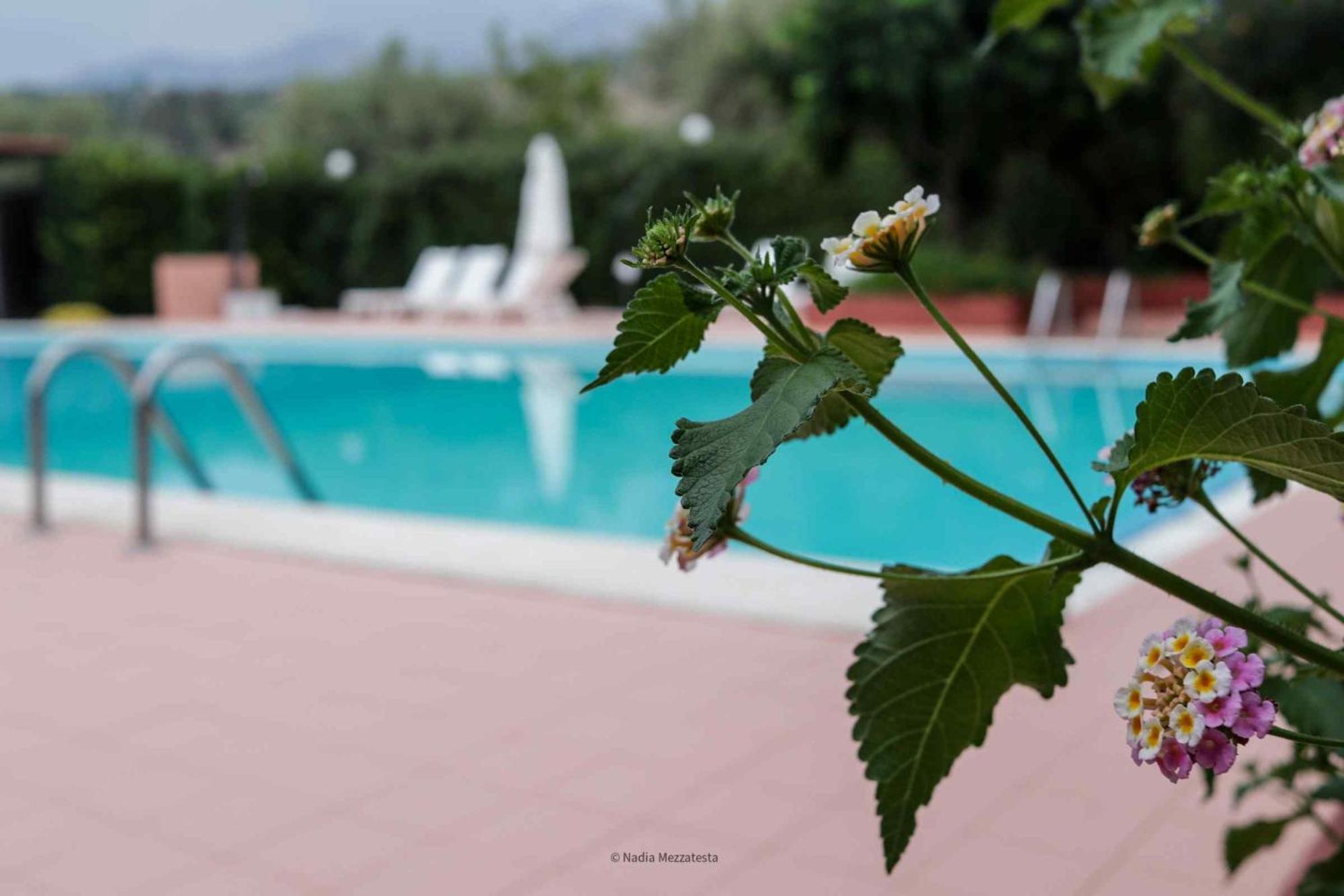 Il Casale Il Sole E La Margherita Campofelice Di Roccella Extérieur photo