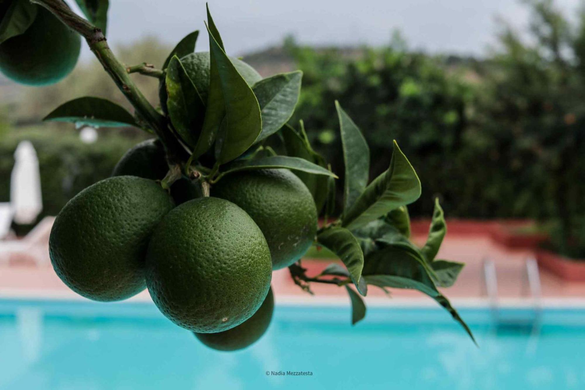 Il Casale Il Sole E La Margherita Campofelice Di Roccella Extérieur photo