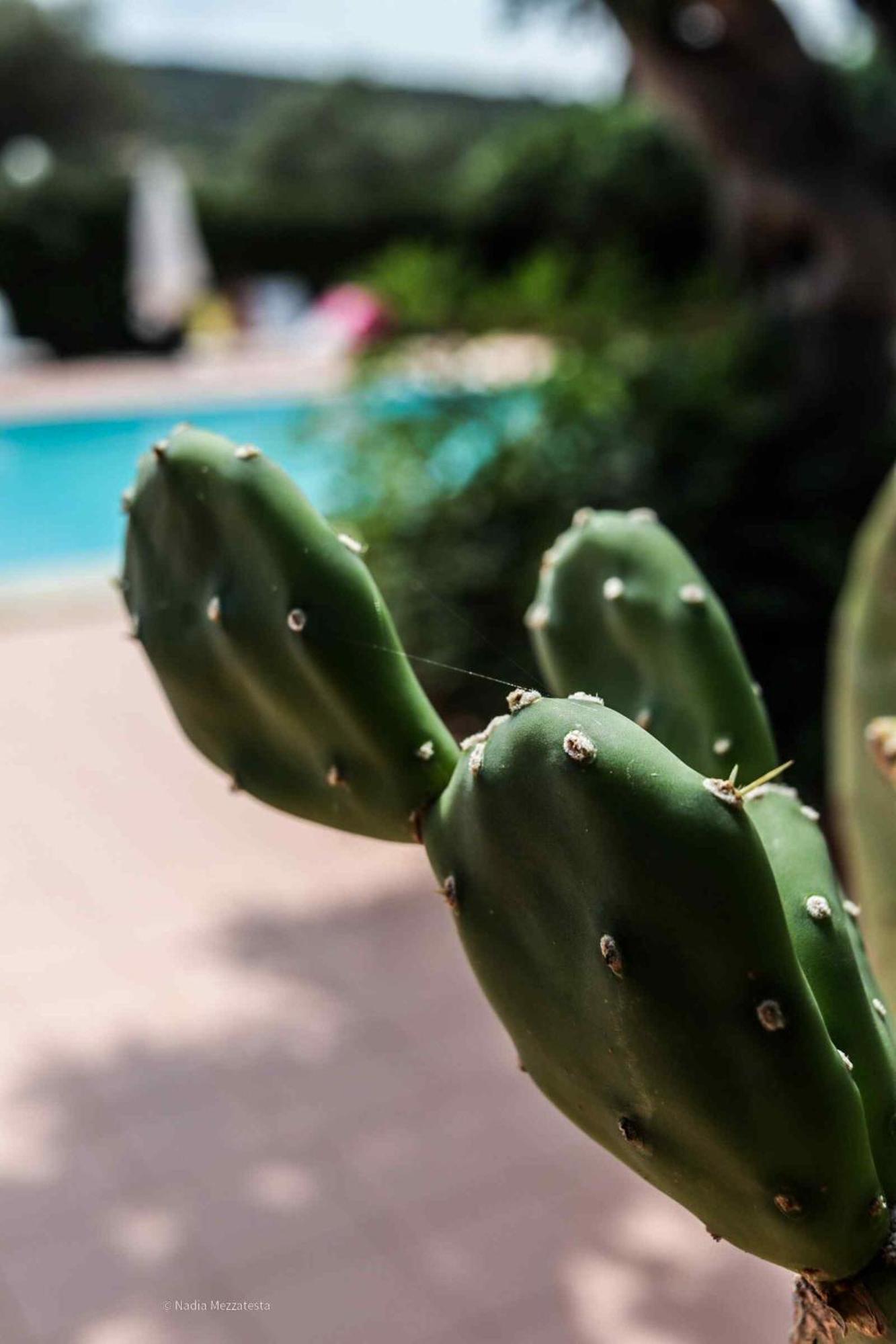 Il Casale Il Sole E La Margherita Campofelice Di Roccella Extérieur photo