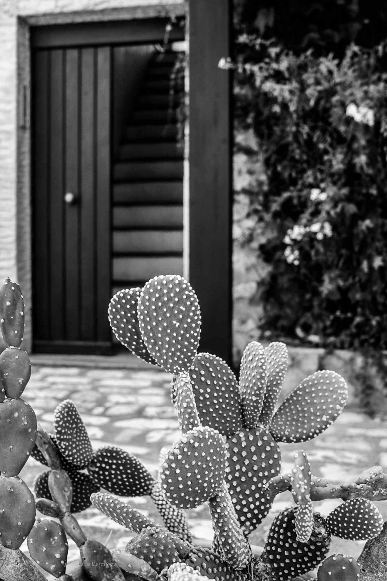Il Casale Il Sole E La Margherita Campofelice Di Roccella Extérieur photo