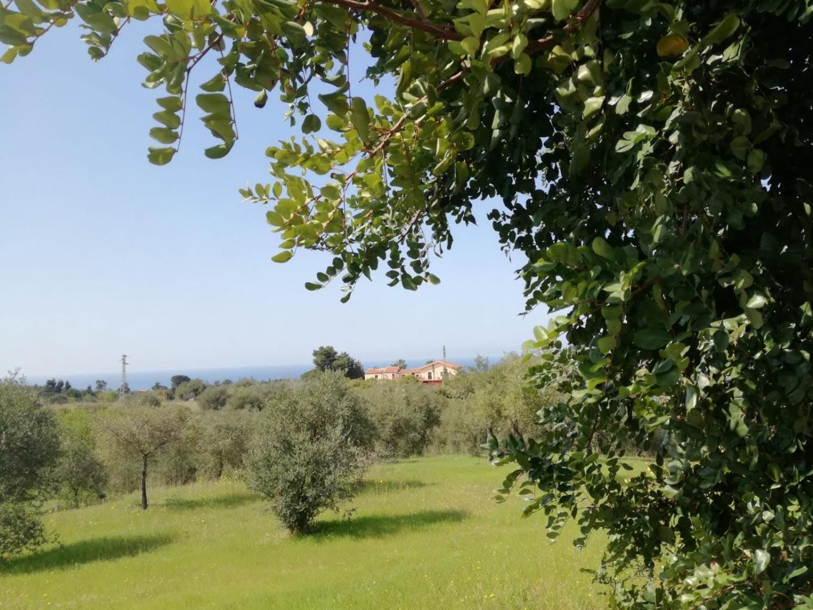 Il Casale Il Sole E La Margherita Campofelice Di Roccella Extérieur photo