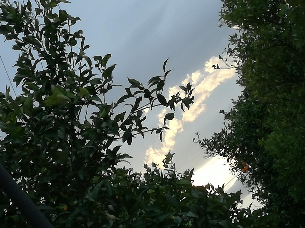 Il Casale Il Sole E La Margherita Campofelice Di Roccella Extérieur photo