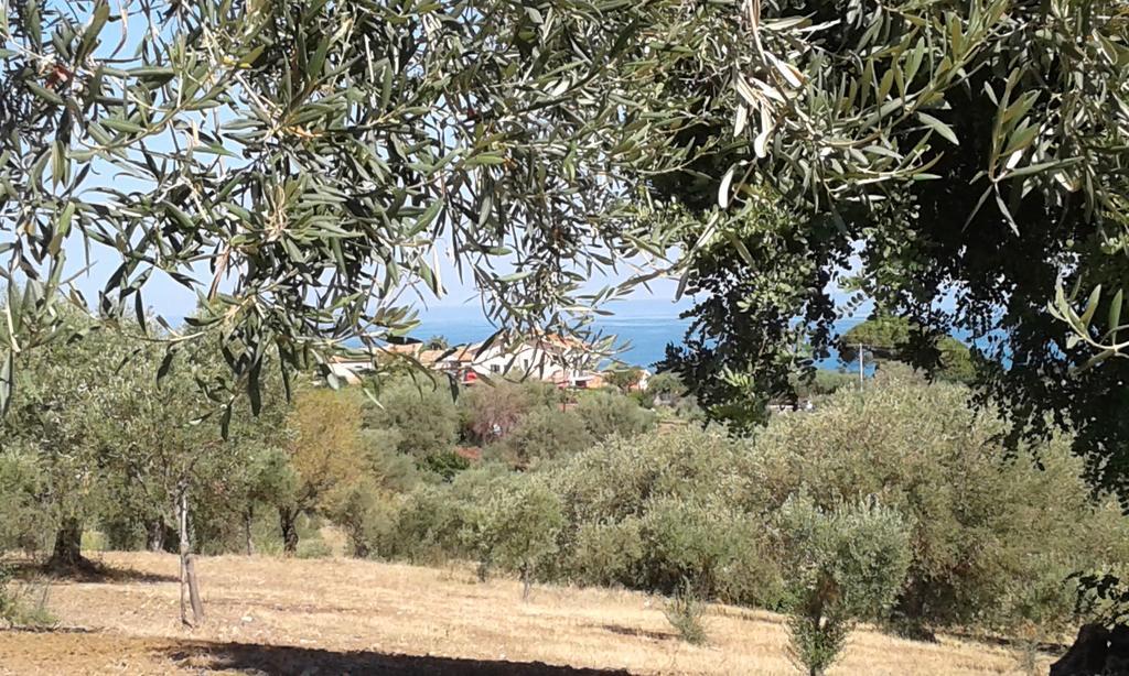 Il Casale Il Sole E La Margherita Campofelice Di Roccella Extérieur photo